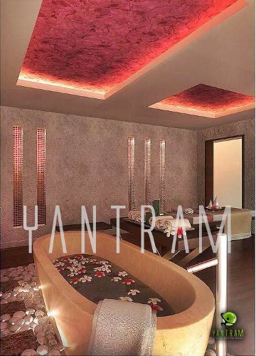 Spa Interior Rendering view